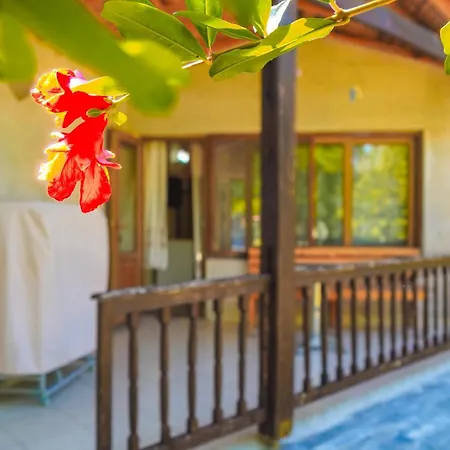 Likya Ξενοδοχείο *