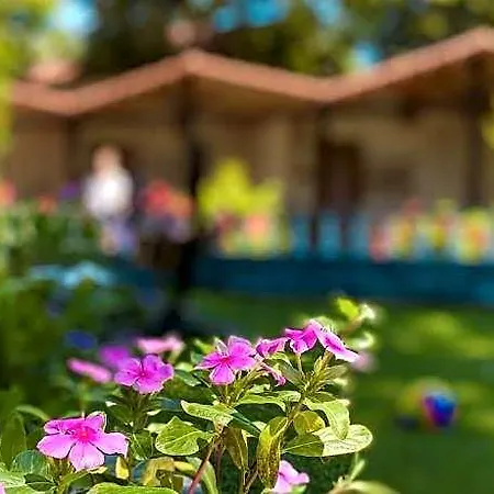 Hotel Likya *