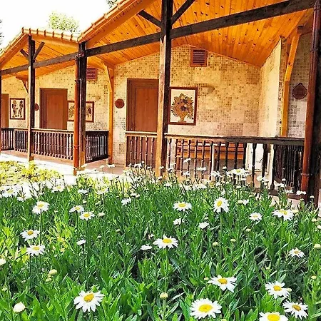 Hotel Likya Adrasan