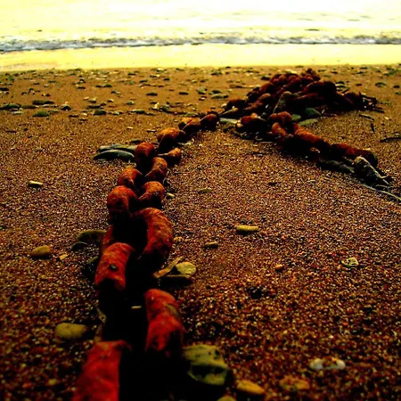 Likya Ξενοδοχείο